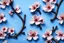 Placeholder: fantastic light pin blue background with three cherry blossoms in a line repeated 4 times with variations