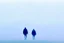 Placeholder: two people seen from behind walking side by side in an empty foggy plain, above there is blue sky