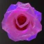 Placeholder: transparent multicolor crystal rose