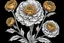 Placeholder: images of Marigold for coloring: , black and white background, fine lines