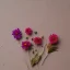 Placeholder: aesthetic layout of small dried flower on cardstock, vintage, tender, mild colours