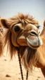 Placeholder: Camels with human look face and long hair and beard looks like an ancient Sumerian gods