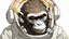 Placeholder: death stranding monkey