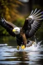 Placeholder: Eagle swooping down in the water to catch a fish on oil in the daytime