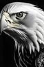 Placeholder: side of the bald eagle's face with black and white details