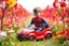 Placeholder: Here is the translation to English: "A beautiful boy in Spider mancaracter standing in a toy car in a flower and tree farm"