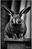 Placeholder: Rabbitzilla. Photograph.