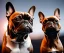 Placeholder: a detailed illustration of a french bulldog, phoenix bird wallpaper, luminescent body, full body, symmetrical body, realistic, glowing muscles, sharp focus, meticulously detailed, soft evening sky, 64k