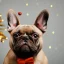 Placeholder: Portrait of a cute french bulldog with light brown fur celebrating new year and christmas