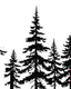Placeholder: fir/pine tree silhouette, black on white detailed