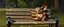 Placeholder: master oil painting by Rembrandt, fat kobold gremlin sleeping on a bench in the park