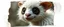 Placeholder: 3d airbrush render, white fluffy panda elf alien dodo , pinhole cam, airbrush 3d rendering, in the style of Titian and Dali , torn edges on border