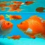 Placeholder:  2 Orange fish and White cat friendly Celebrating christmas under the water