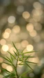 Placeholder: A very delicate New Year's composition, sparkling patterns, very delicate, iridescent bokeh.a long Hemp green leaf