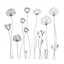 Placeholder: set of grow wind flower on the grace, SIMPLE ONE lineS art, white background, minimalis, different view, only white bakcground solid.