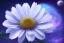 Placeholder: only one cosmic white flower in blue and pink cosmos