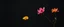Placeholder: something something