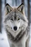 Placeholder: The majestic Siberian wolf, With its thick and dense coat, This protects from the extreme cold of Siberia, With its bright yellow eyes, And pointed ears, Known for its strength and hunting ability., Package Leader, With its powerful, echoing howl through the icy mountains, Uniting wolves in one voice., Skilled hunter, Who pursues his prey with dexterity, Always in search of food for his family., Siberian Wolf, Symbol of strength and power, that inspires respect and admiration, A true king of nat