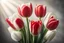 Placeholder: photorealistic 4 red tulips above and 2 white tulips down in a bouquet, soft lighting, sharp focus, rough edges in sunshine