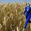 Placeholder: theresa may in robot armour, running through fields of wheat, sunshine, daytime, dystopian