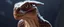 Placeholder: what sauron actually looks like as a reptilian