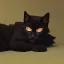 Placeholder: Gato negro durmiendo, noche