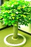 Placeholder: money tree