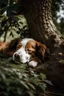 Placeholder: Un perro durmiendo abajo de un arbol boca arriba. Plano desde arriba