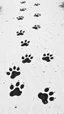 Placeholder: a path of dog prints, black on white