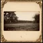 Placeholder: Daguerrotype frame old landscape odd creepy obsessive great nostalgia, bright, weird, old postcard landscape, cespugli, sfocato, sentiero, osceno, dettagli della cornice molto accentuati, polvere, horror, tridimensional, Germany 1950, Heidegger