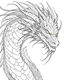 Placeholder: I need a dragon outline ,no shadow only clear outline and backgroun