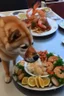 Placeholder: doge eating a shrimp platter