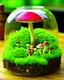 Placeholder: cute terrarium with a little mushroom