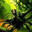 Placeholder: WOMAN SPIDER IN THE JUNGKE . Alex Maleev