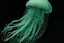 Placeholder: A mint colored Jellyfish painted by MC Escher