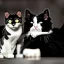 Placeholder: Portrait of two cats, one fluffy tuxedo cat sitting near a black cat with yellow eyes