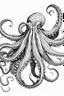 Placeholder: Outline art, no shading, full body octopus, black and white, low detail, --ar 9:11