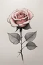 Placeholder: Minimalist ink color pencil and charcoal drawing of rose