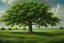 Placeholder: ultra photo realistic tree of life in meadow english countryside from a distance scenery painting