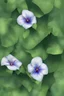 Placeholder: three Blue morning glory with green leaves, arranged vertical, a digital rendering by Kanzan Shimomura, photo realistic rendered in maya and daz3d, with a dark blue background