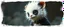 Placeholder: 3d airbrush render, white fluffy panda elf alien dodo , pinhole cam, airbrush 3d rendering, in the style of Titian and Dali , torn edges on border