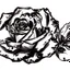 Placeholder: A rose, black & white line art