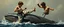 Placeholder: close up on karate kid in kick boxing match on top of whale, painted by rembrandt