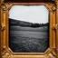 Placeholder: Daguerrotype frame old landscape odd creepy obsessive great nostalgia, bright, weird, old postcard landscape, cespugli, sfocato, sentiero, osceno, dettagli della cornice molto accentuati, polvere, horror, tridimensional