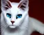 Placeholder: White catwoman,lije turkish van dat, goddess, trippy, eyes different colored