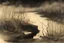 Placeholder: night, mistery and enigmatic, dry weeds, dark new age videoclips influence, disturbing and horror, rocks, epic, hans am ende, juliette wytsman, gustave de smet, and jenny montigny impressionism paintings