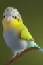 Placeholder: A cute budgie animation