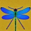 Placeholder: Damselfly full body colorful