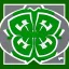 Placeholder: Boston Shamrocks American Football team logo, writing that says Boston, green and white colors