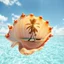 Placeholder: Conch shell Double Exposure scene of a tropical beach double exposure in its shell :: amazing multiple exposure digital illustration, 4D, close-up, light negative space